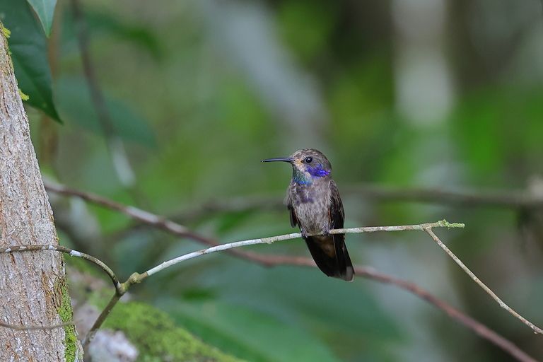 ACUERDOS DE CONSERVACIÓN