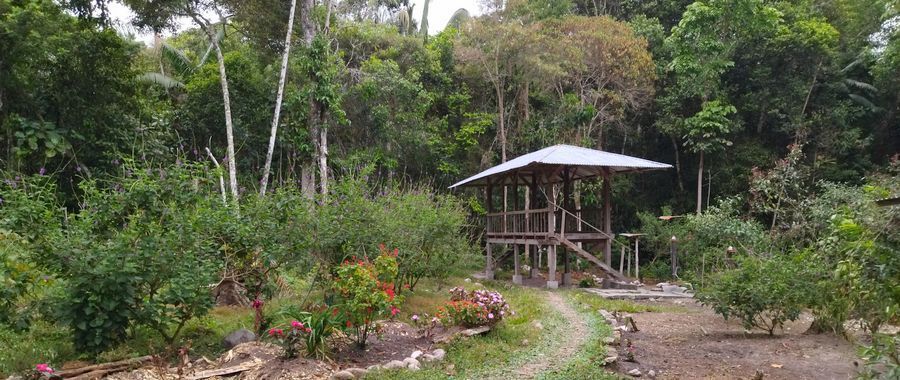 Donaciones para la conservación